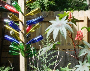 Bottle trees and castor bean plants grow with equal vigor.