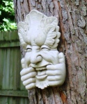 trees make faces